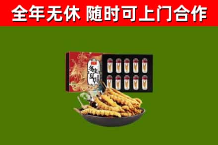 三明回收冬虫夏草价格